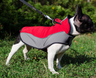 Mantel für Bulldogge aus Nylon für Winterzeit