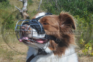 Draht Maulkorb mit Polsterung für Australischen Schäferhund Draht Maulkorb mit Polsterung für Australischen Schäferhund