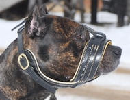 Cane Corso Exklusives Nappa gepolsterter Hund Maulkorb Cane Corso Exklusives Nappa gepolsterter Hund Maulkorb