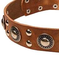 leather collar luxury
Buy