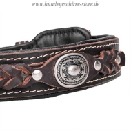 Buy DECORATED leather
collar new