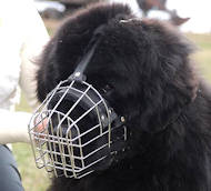 Wire Basket Dog Muzzle for big size dog breeds, Newfoundland