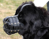 Neufundland Hundemaulkorb aus Leder mit Luftzirkulation Neufundland Hundemaulkorb aus Leder mit Luftzirkulation