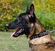 Lederhalsband mit
Pyramiden für Malinois kaufen