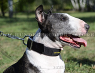 Nylon Hundehalsband für Bullterrier in klassischem Design stark Nylon Hundehalsband für Bullterrier in klassischem Design stark