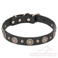 Hochwertiges Hundehalsband Leder mit runden Schildchen