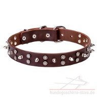 Leder Hundehalsband mit originellem Dekor und starkem Beschlag
