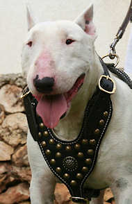 /images/royal-leather-studded--harness-hundegeschirr.jpg