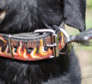 painted leather
collar mountain dog