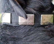 Nylon Halsband für Sennenhund | Nylonhalsband Platten Nylon Halsband für Sennenhund | Nylonhalsband Platten