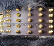 Extra Breites Lederhalsband für Sennenhund Hochwertigkeit Extra Breites Lederhalsband für Sennenhund Hochwertigkeit