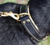 Sennenhund Hundehalsband aus Nappaleder Super Extravagant Sennenhund Hundehalsband aus Nappaleder Super Extravagant