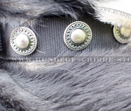 Breites Nylonhalsband mit Silber-Concho für Sennenhund ❍ Breites Nylonhalsband mit Silber-Concho für Sennenhund ❍
