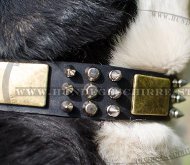 Sennenhund Halsband | Leder Hundehalsband Super! Sennenhund Halsband | Leder Hundehalsband Super!
