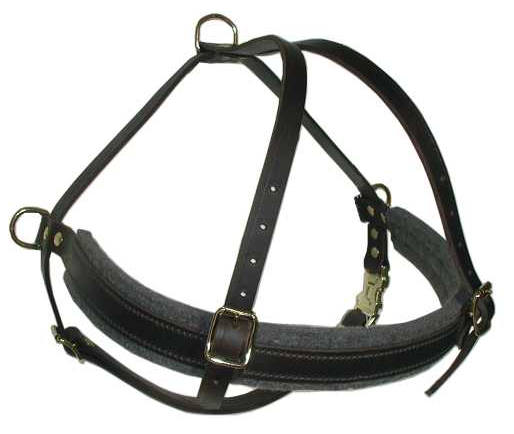 tracking harness