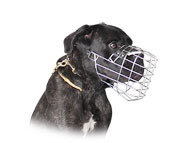 Cane-corso Drahtmaulkorb - Neue Design Hunde Maulkörbe Cane-corso Drahtmaulkorb - Neue Design Hunde Maulkörbe