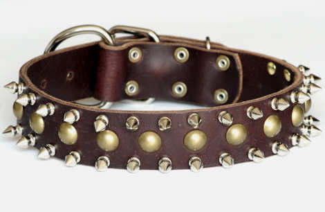 Designer leather spiked dog collar for Bullterrier or - dogs wth big neck